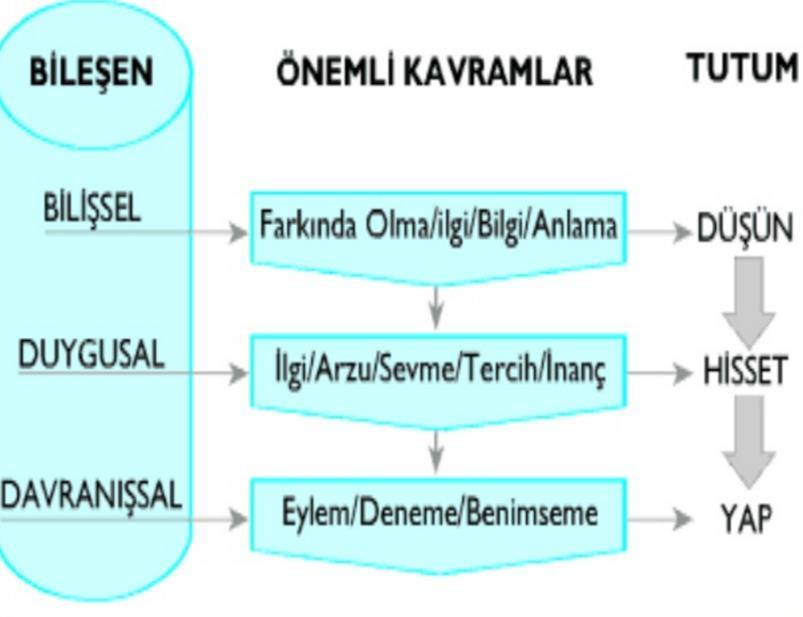 Tutumların Oluşumunu ve