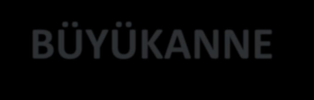 BÜYÜKANNE PROJESİ - 2 Pilot uygulamada 10 ilde - 6.