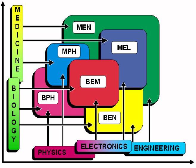 BEN : Bioengineering BPH : Biophysics BEM : Bioelectromagneti sim MPH : Medical Physics MEN : Medical engineering MEL : Medical electronics Giriş