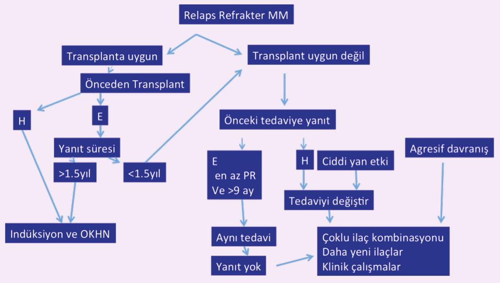 MULTİPL MYELOM TANI VE TEDAVİ KILAVUZU Şekil 2.