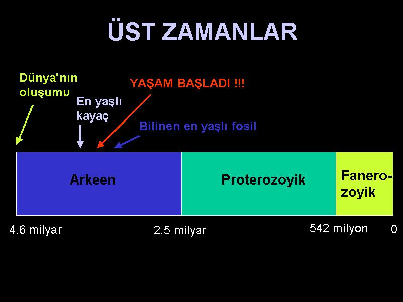 (EONS) ZAMANLAR (ERAS) F A N E R O Z O Y İ K PALEOZOYİK