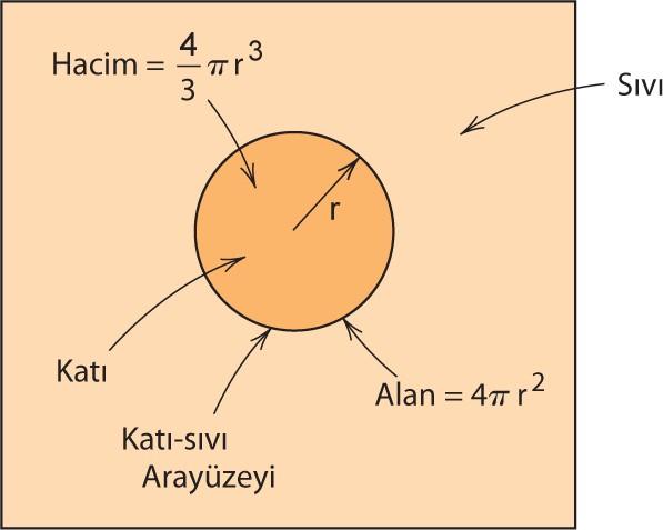 Faz dönüşümünün gelişmesi, çekirdeklenme ve büyüme olarak adlandırılan iki farklı safhada meydana gelir.