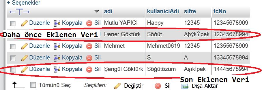 Sonuç olarak tüm ayarları yaptıysanız hem veritabanında hem de internet