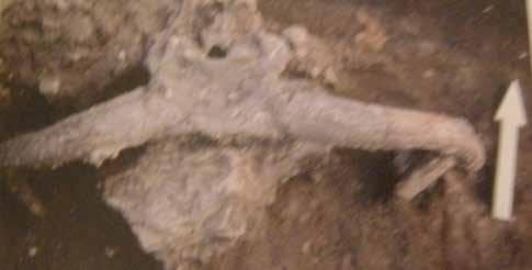 Halan Çemi kazılarında 14 karbon ile erken Neolitik kültür kalıntıları ortaya çıkarılmış, Doğu Anadolu nun en eski kültürü bulunmuştur. Kazıda hayvan kalıntıları bulunmuştur.