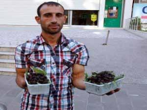 Vatandaşlardan karadut meyvesine yoğun ilgi 06 Haziran 2012 Diyarbakır merkez ve ilçelerinde yetişen karadut meyvesine vatandaşlar yoğun ilgi gösteriyor.
