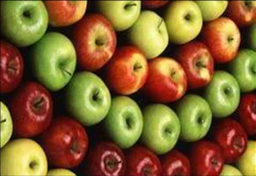 BÖLÜM-4 DİYARBAKIR DA ELMA VE KÜLTÜRÜ 242 Gündelik Hayatta Vazgeçilmez Meyvelerden Elma Çeşitleri Meyvesi orta iri-iri arasında büyüklükte, kabuk rengi yeşil zemin üzerine hafif donuk sarı renkli,