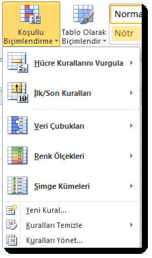 Bir çok farklı koşullu biçimlendirme yöntemi program içerisinde sunulmuştur.