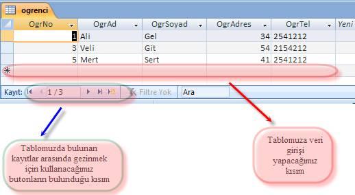 Veritabanını açtıktan sonra gezinti bölmesinde yer alan kayıt eklenecek tablo üzerinde çift