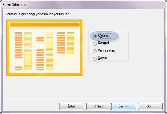 Oluşturulan formu gezinti bölmesinde