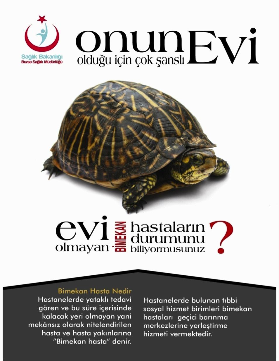 Psikiyatri ve Evsizlik: Bir Gözden Geçirme Çalışması, Düşünen Adam: Psikiyatri ve Nöroloji Bilimleri Dergisi,1996 3.