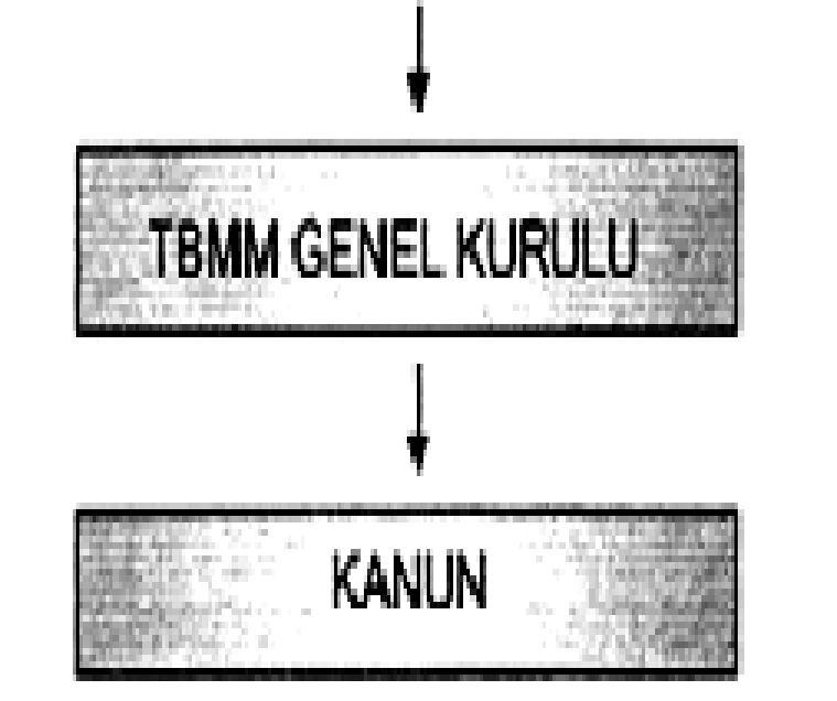 Kabul edilirse resmî gazetede yayınlanarak yürürlüğe girer. Cumhurbaşkanı tarafından kabul edilmez ise tekrar TBMM'ye gönderilir (Veto yetkisi). Cumhurbaşkanın ikinci defa veto etme hakkı yoktur.