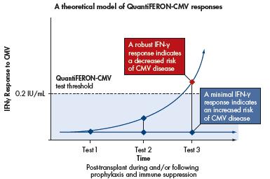 QuantiFERON-CMV duyarlık : % 76.