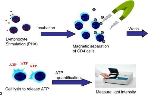 Hücre içi ATP ölçümü : Immuknow immün hücre fonksiyon yöntemi 2002 FDA