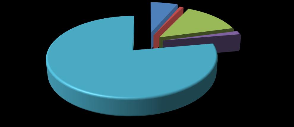 2015 Yılı İdare Faaliyet Raporu Genel Kamu Hizmetleri 6,3% Kamu Düzeni ve Güvenlik Hizmetleri 0,8% Sağlık Hizmetleri 13,6% Dinlenme, Kültür ve Din Hizmetleri 1,5% Eğitim Hizmetleri 77,8% Grafik 10: