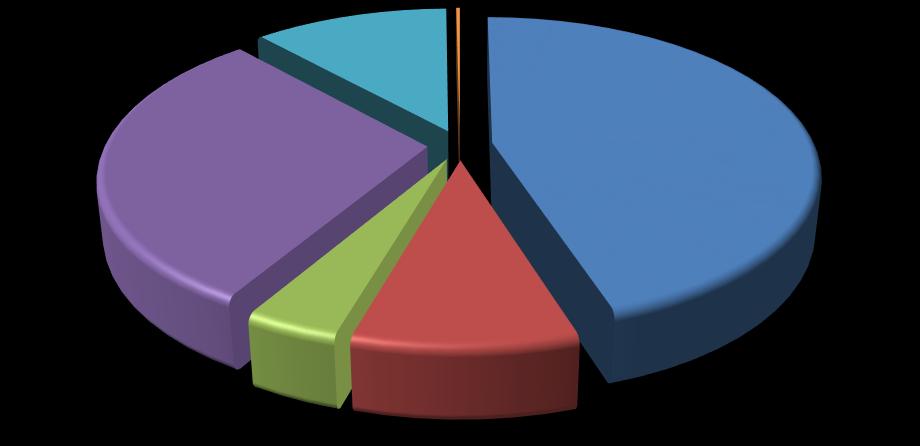 2015 Yılı İdare Faaliyet Raporu Hastaneler 11,5% Merkezler