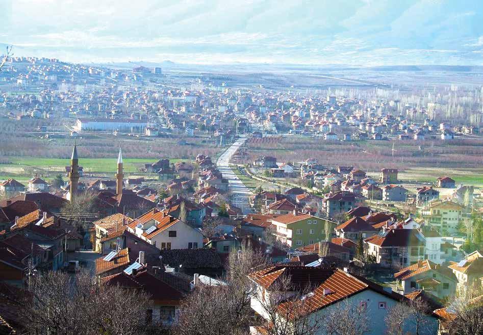 Dört sahında da doğu-batı yönünde uzanan ahşap taşıyıcı hatıllar geçmektedir. Caminin içi kaba ağaç süslemesi ile süslenmiştir.