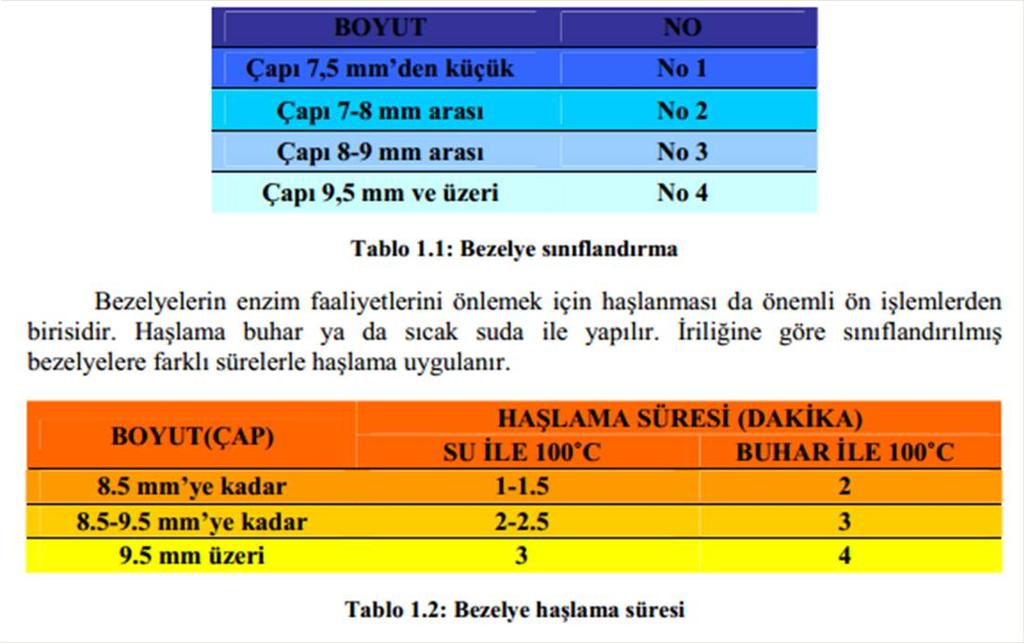 381 Haşlama sonrası soğutma işlemi uygulanmalıdır. Bazı işletmeler bezelyelerin sınıflandırılmasını haşlama işleminden sonra da yapabilmektedirler.