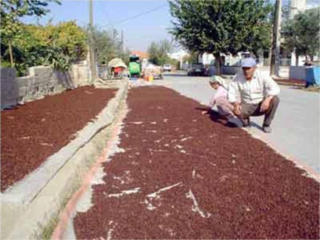 Güneş enerjisinden ve katı yakıttan faydalanarak kurutma işlemi yapan sistemler geliştirilmiş ve özellikle meyve kurutmada daha sağlıklı ve istenilen ölçütlere uygun ürün