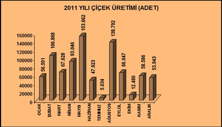 2011 FAALİYET RAPORU ÇİÇEK VE AĞAÇ ÜRETİMİ ADET Üretilen Çiçek