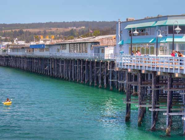 SANTA CRUZ, CALIFORNIA ÜNİVERSİTE ERİŞİMLİ MERKEZ ELS.EDU/SANTACRUZ ELS/Santa Cruz; güzel Monterey Körfezi ndeki genç ve hareketli kıyı şehri Santa Cruz un merkezinde yer alır.