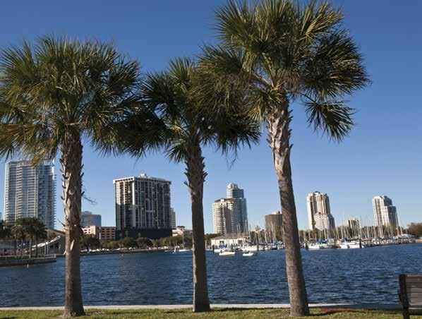 KAMPÜS İÇİ ELS/St. Petersburg, Eckerd College ın güzel kıyı kampüsünde yer alır. St. Petersburg, Florida nın tropik batı kıyısında bulunur. Plajları ve yıl boyu güzel iklimiyle tanınmaktadır.