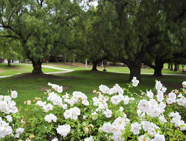 KAMPÜS İÇİ ELS/Thousand Oaks, California Lutheran University nin güzel kampüsünde yer alır.