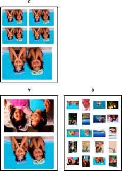Fotoğraf Baskıları Oluşturma Yazdırmaya genel bakış Fotoğraf Baskıları'nı kullanma Kontak baskı oluşturma Resim paketi yazdırma Yazdırmaya genel bakış Photoshop Elements, fotoğraflarınızı yazdırmak