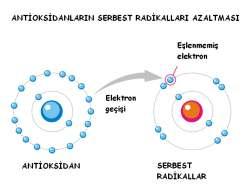 Bu, nsan vücudunun doğası gereğ d r. Hastalık vs.