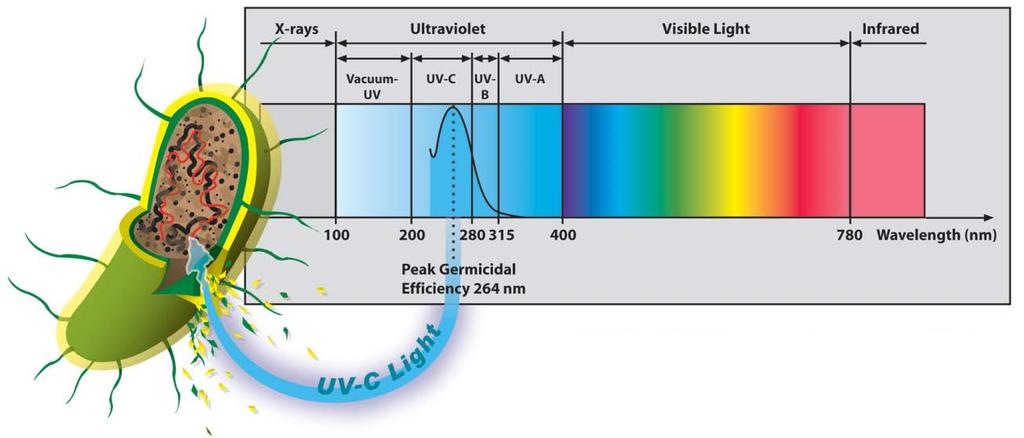 Bu ultraviyole ışınları mikroorganizmaların DNA yapısını bozarak etkisiz hale gelmelerini sağlar. Bu şekilde ortalama % 99.99 oranında dezenfeksiyon verimi elde edilmektedir.