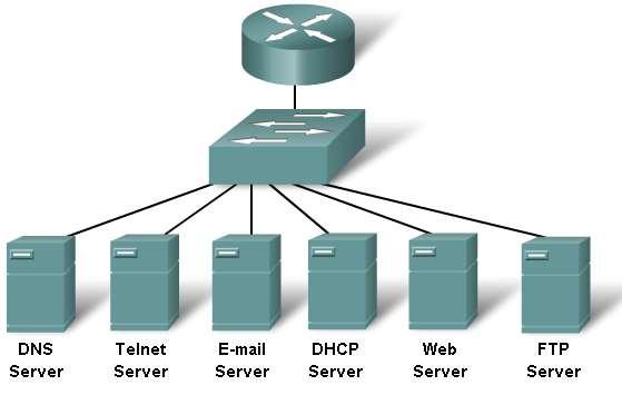 TCP / IP IP Adresi DHCP HTTP DNS