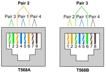 T568A