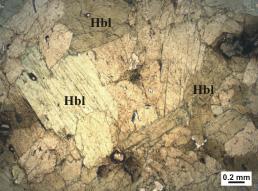 Şekil 4.13. Amfibolitlerin tek nikol altındaki görüntüsü (Ör: D0403, hbl: Hornblend). Apatit: Bazı örneklerde bulunan bu mineral ~%1 2 oranında kayaç içerisinde dağınık vaziyette bulunur.