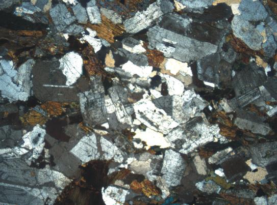 Amfibol: Kesitlerde yaklaşık olarak biyotit minerali eşit oranda yer alan mineral değişik kesitlerde özşekilsiz, yarı-özşekilli ve özşekilli olarak bulunmaktadır.