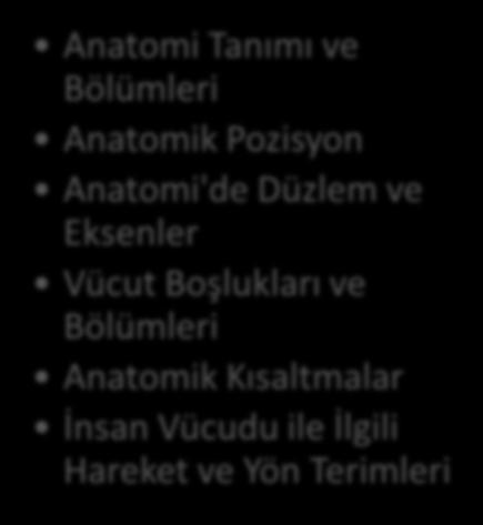 ile İlgili Hareket ve Yön Terimleri TEMEL ANATOMİ Uz. Dr.