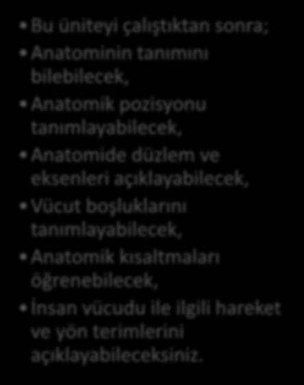 pozisyonu tanımlayabilecek, Anatomide düzlem ve eksenleri açıklayabilecek, Vücut boşluklarını