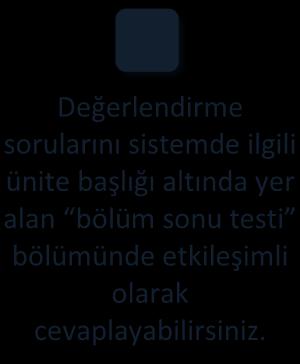 A) Perineum B) Pelvis C) Scrotum D) Uterus E) Anüs 2- Kadın dış genital organlarından labium minus pudendi ler arasında bulunan açıklık aşağıdakilerden hangisidir?