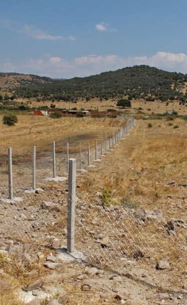 Yenişakran da dikimi yapılan arazinin çevresi