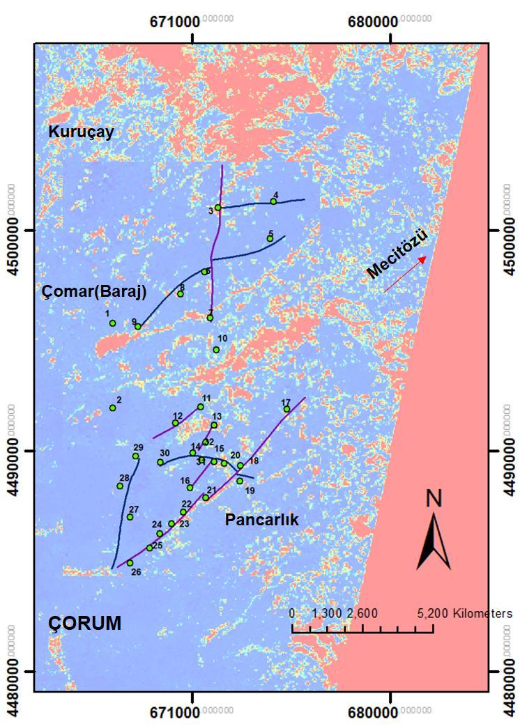 Bant aritmetiği ve bant oranlamaları ile elde edilen sonuçlarda ve mineralanomaliharitasında;fayhatlarının mineralyoğun bölgelerle örtüştüğü ayrıca bu yüzey değişimlerinde enerjinin yoğun (sıcaklık