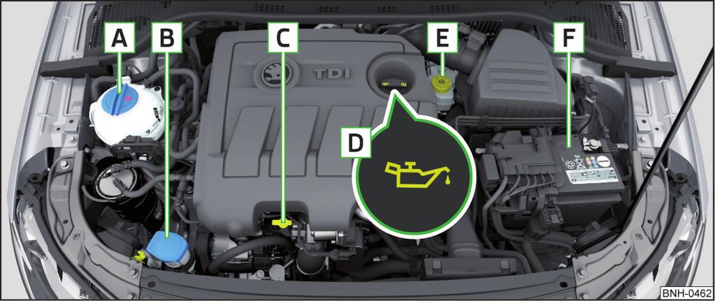 Kaput desteğini yerinden çıkarın ve bunun için öngörülen tutucuya bastırın. Motor kaputunu yaklaşık 20 cm yükseklikten kilide doğru bırakın - Kaputa elinizle bastırmayın!