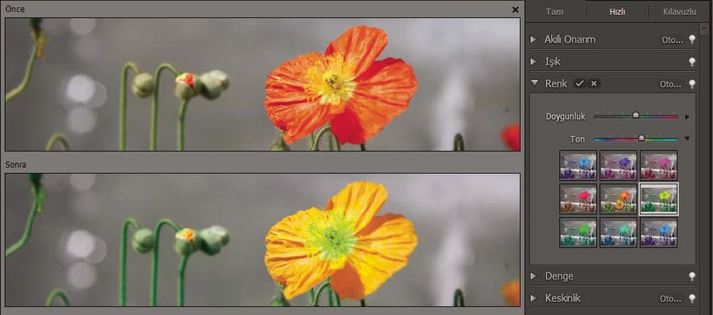 Renk ve ton düzeltme 112 Var olan çeşitlemelerin minik resimlerini görebilirsiniz. 2 Fotoğraf üzerindeki ayarlamanın önizlemesini yapmak için fareyi minik resimlerin üzerinde gezdirin.