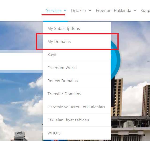 13.Açılan sayfada Services menüsü açılarak My Domains