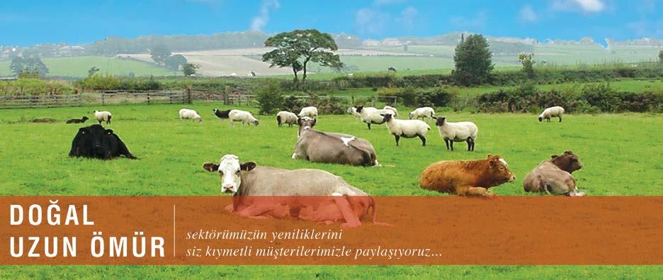 ACOL KM 2010 KORUYUCU MADDE ACOL KM 2010 nedir? ACOL KM 2010 gıda maddelerinde istenmeyen KÜF MAYA VE MANTARLARA etkili koruyucu bir maddedir.