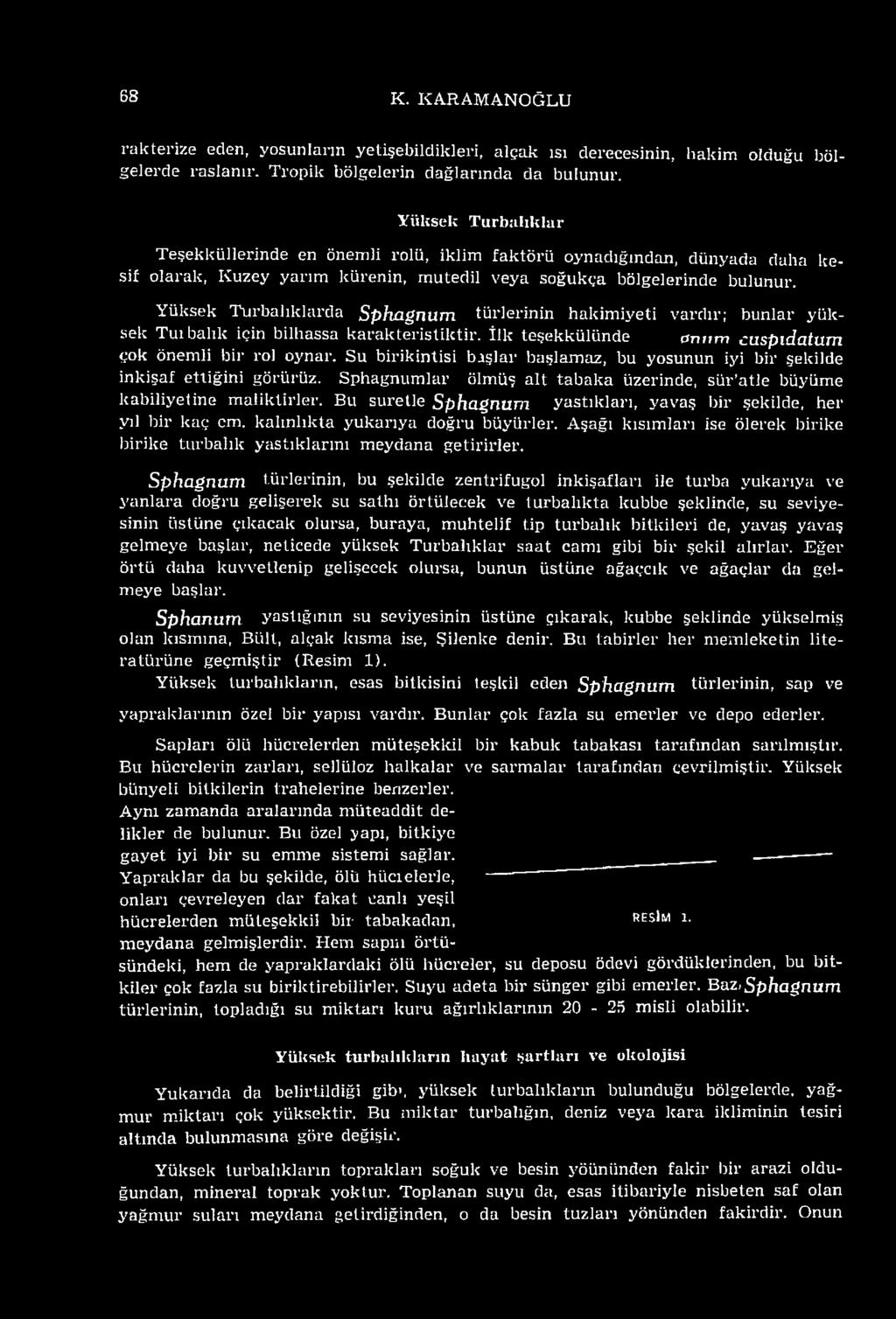 Yüksek Turbalıklarda Sphagnum türlerinin hakimiyeti vardır; bunlar yüksek Tuı balık için bilhassa karakteristiktir. İlk teşekkülünde onum uspıd.atum çok önemli bir rol oynar.