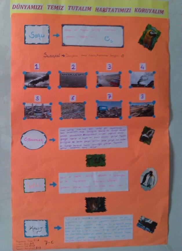 Resim 1.6: Öğrencilerin hazırlamış olduğu posterlere ait örnek resimler ATBÖ sürecinde yazmanın öğrencilerin dil becerilerinin gelişmesinde de önemli katkı sağladığını gözlemledim.