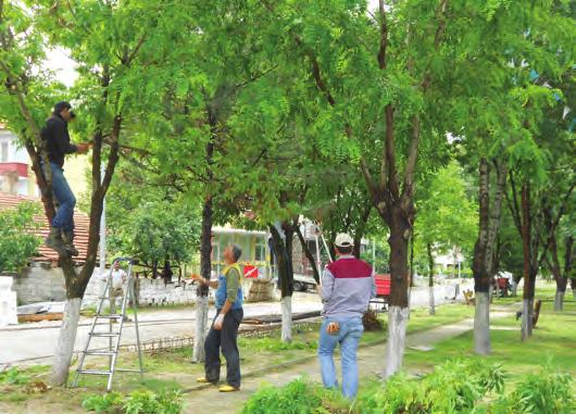 PARK VE BAHÇE ÇALIŞMALARI 1 - Bakım Onarım Kontrol Birimi Çalışmaları 1 - Silivri Belediyesi sınırları içerisinde çalışma programı ve vatandaşlar tarafından gelen şikâyetler doğrultusunda budama,