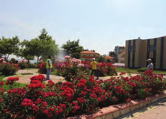 2 - İlçemiz sınırları içinde bulunan çocuk parkları, yeşil alan, refuj ve orta refüjlerdeki ağaçların afit ilaçlamaları, parklardaki sert zeminlerin ot ilaçlamaları, yapılmaktadır.