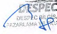 'de Muhasebe departmanmda ba~lay1p k1sa bir sure sonra bu ~irketin Mali i~ler MUdUrU olarak gorev ald1. Bu gorevini 13 y1i surdurdukten sonra, 2000 y1lmda aynld1.