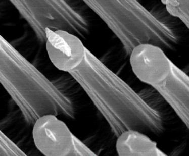 edilmesi 5 µm 2.3 µm 1.