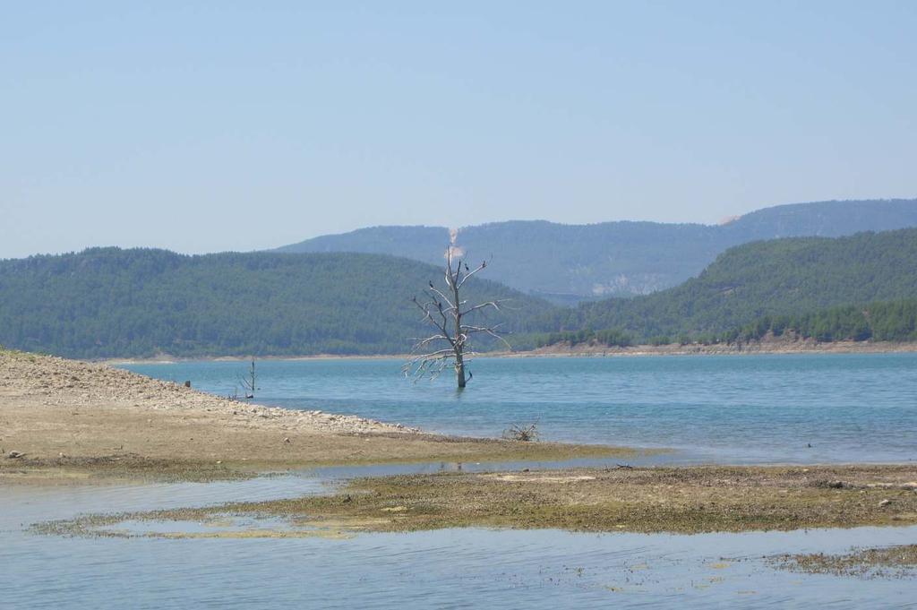 Ek Şekil 10. Cüce karabatak, Phalacrocorax pygmeus (Foto: H.