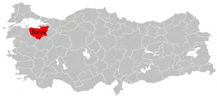 Anadolu nun kuzey-batısında, Marmara Bölgesi nin güneyinde, 40 12 kuzey enlemi, 29 04 doğu boylamı arasında yer alan Bursa, Marmara Bölgesi